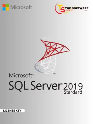 SQL SERVER 2019 STANDARD